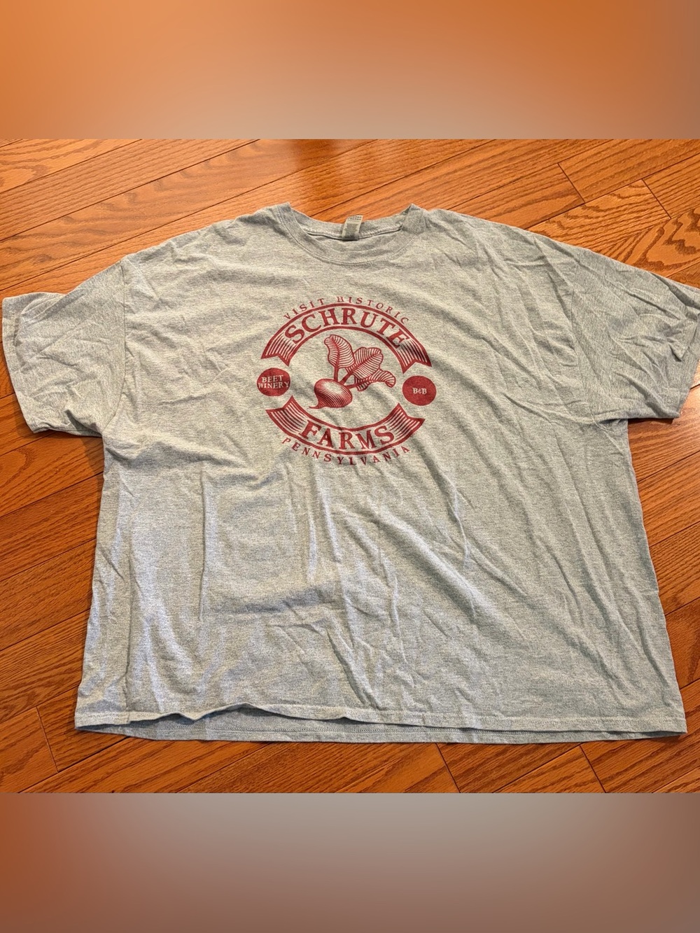 Gildan Gray Short Sleeve Tee “Schrute Farms” Graphic Men’s Sz 4XL